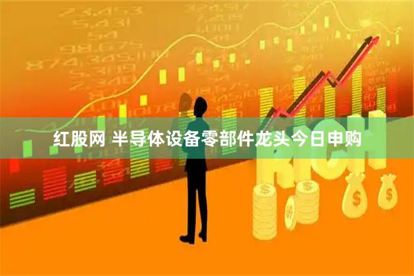 红股网 半导体设备零部件龙头今日申购